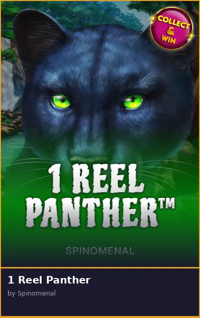 1 Reel Panther slot