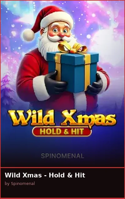 Wild Xmas - Hold   Hit slot